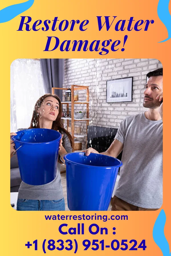 water restoration Modern Water Mitigation Professionals Robbinsdale