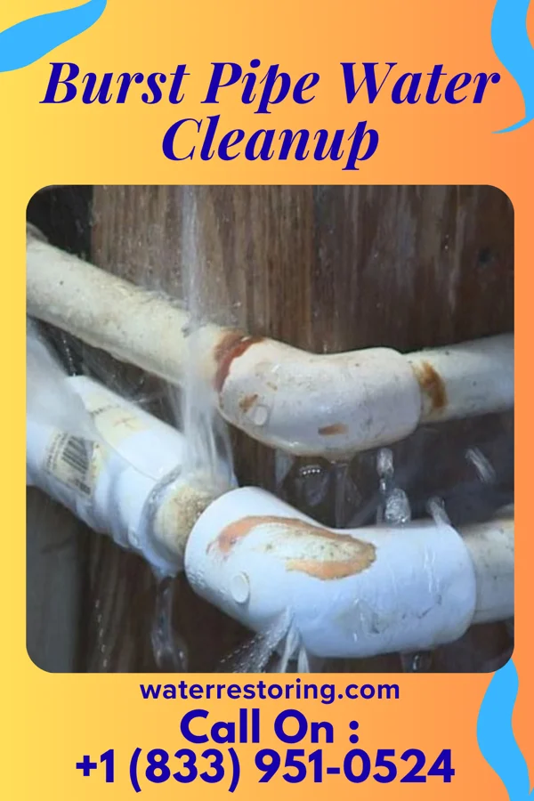 Burst Pipe Water Cleanup in Robbinsdale, MN